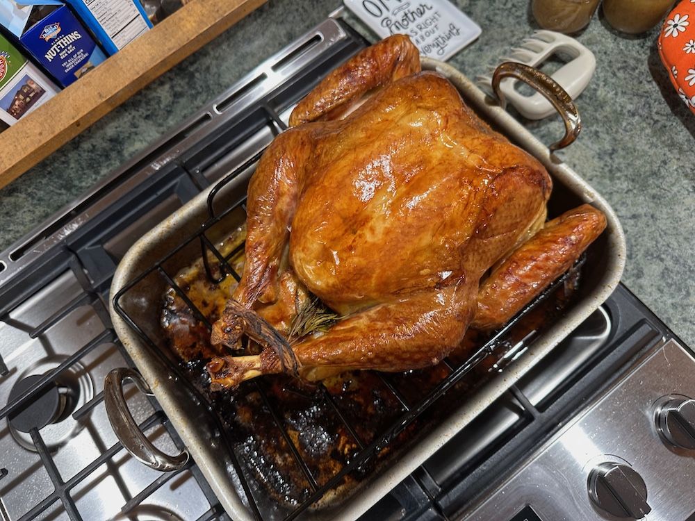 "the bird: looks great, ended up a little on the dry side…"