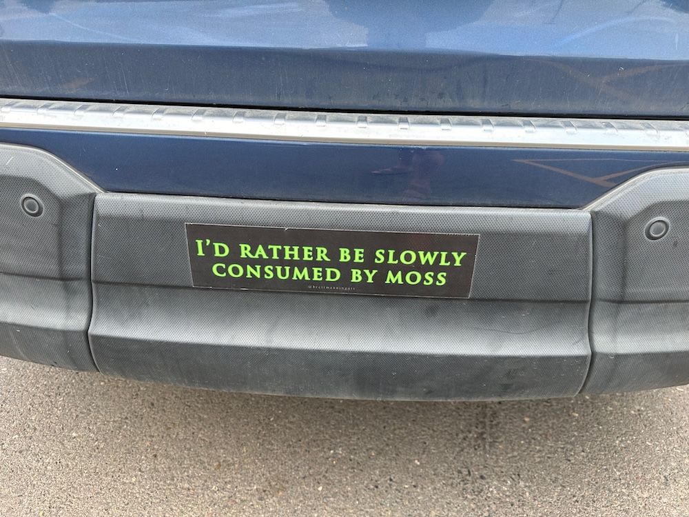 Me too, rando grocery store packing lot car, me too