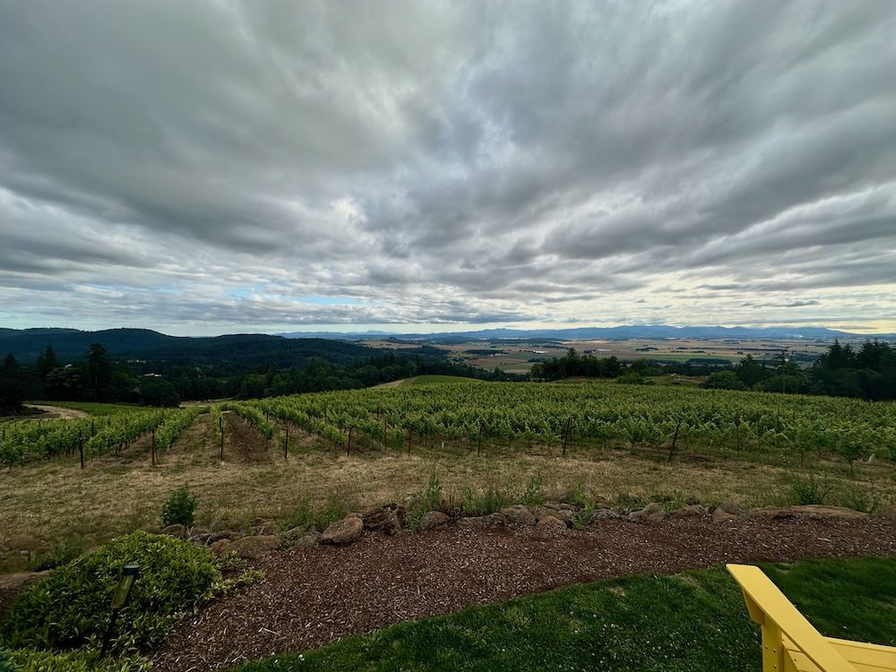 A view from Bryn Mawr Vineyards, looking down the Van Duzer Corridor
towards the Coast