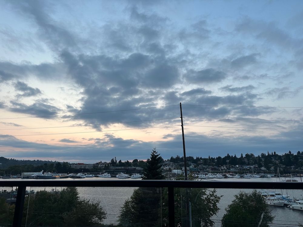 This was my Thursday night dinner view