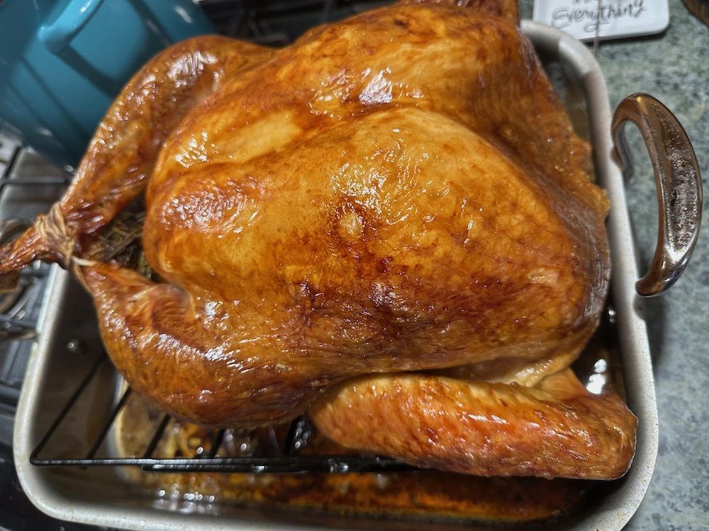 obligatory turkey picture