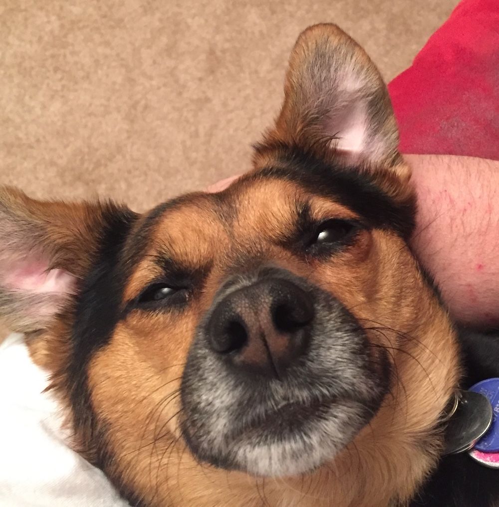 Sammy displaying her "resting stoned face"