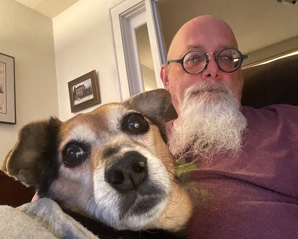 Sammy resting on my lap last night