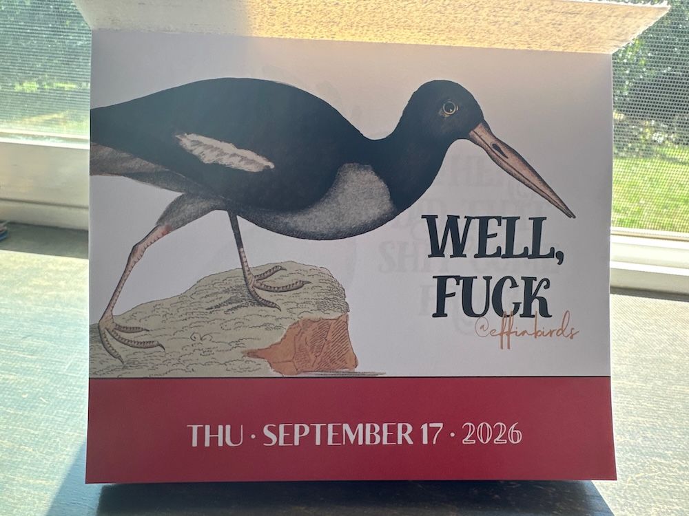Sometimes the Effin' Birds daily calendar is just a warning you don't recgonize yet…